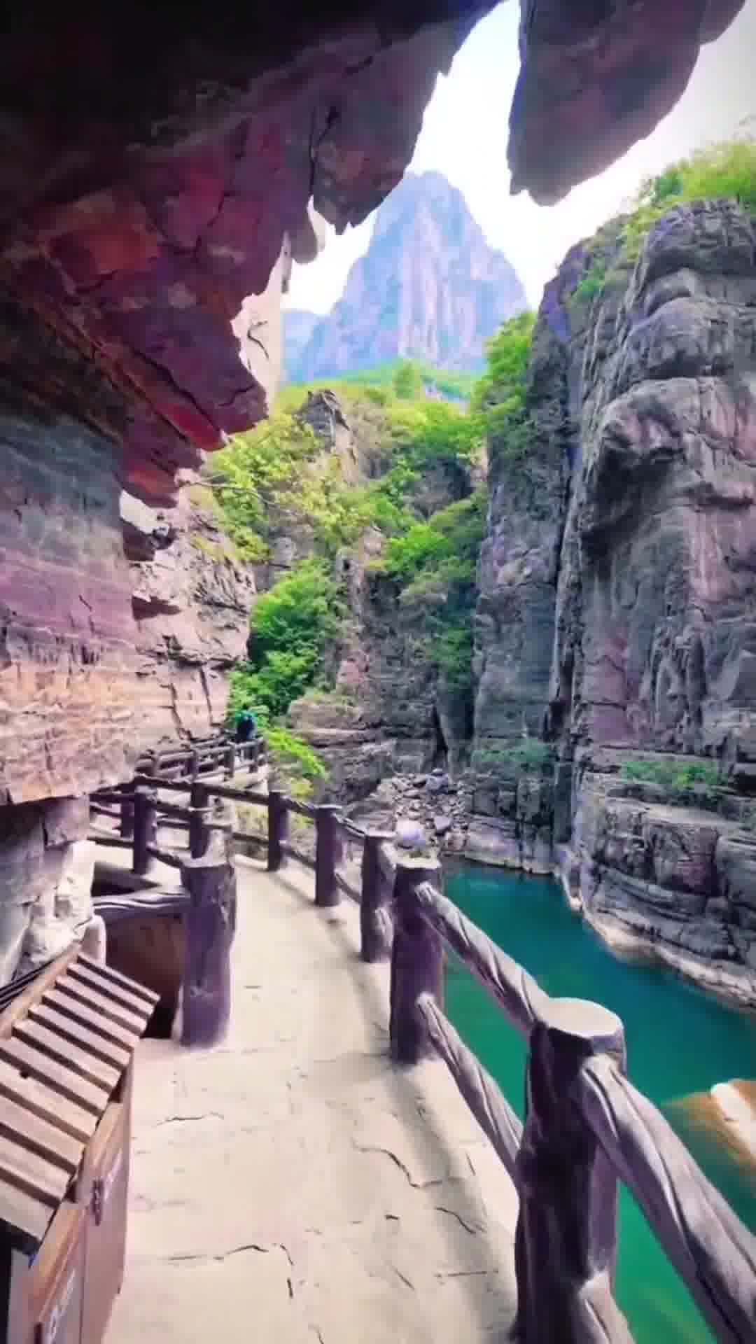 中原文明之源，河南古韵探寻之旅